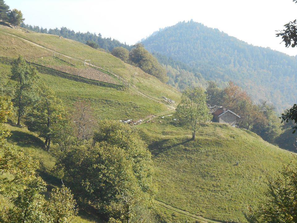 Agriturismo Fiorendo Pinerolo Exterior foto